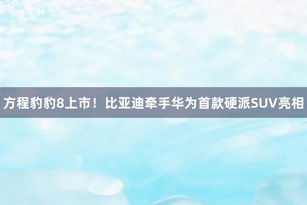 方程豹豹8上市！比亚迪牵手华为首款硬派SUV亮相