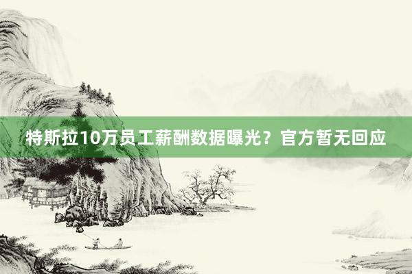 特斯拉10万员工薪酬数据曝光？官方暂无回应