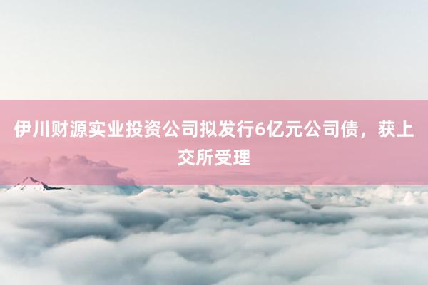 伊川财源实业投资公司拟发行6亿元公司债，获上交所受理