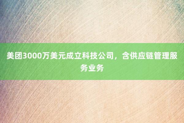 美团3000万美元成立科技公司，含供应链管理服务业务