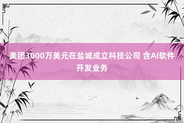 美团3000万美元在盐城成立科技公司 含AI软件开发业务