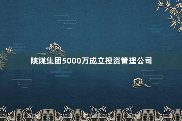 陕煤集团5000万成立投资管理公司