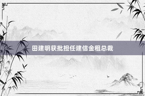 田建明获批担任建信金租总裁