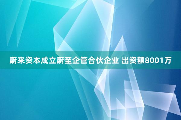 蔚来资本成立蔚至企管合伙企业 出资额8001万