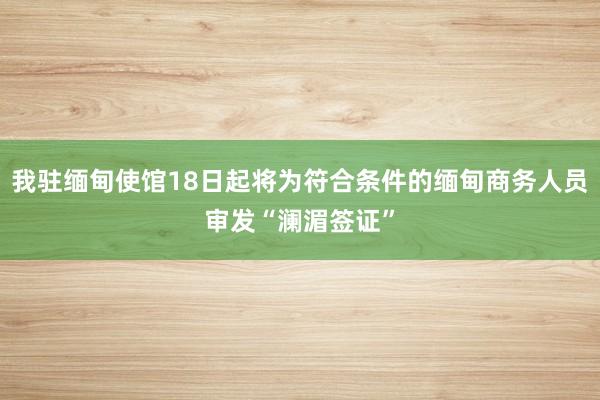 我驻缅甸使馆18日起将为符合条件的缅甸商务人员审发“澜湄签证”