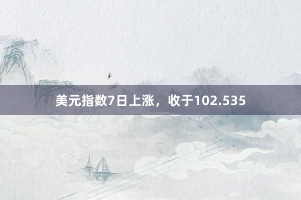 美元指数7日上涨，收于102.535