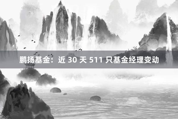 鹏扬基金：近 30 天 511 只基金经理变动