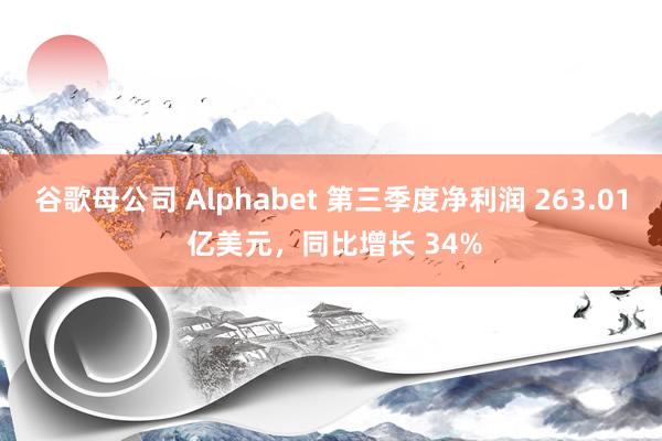 谷歌母公司 Alphabet 第三季度净利润 263.01 亿美元，同比增长 34%