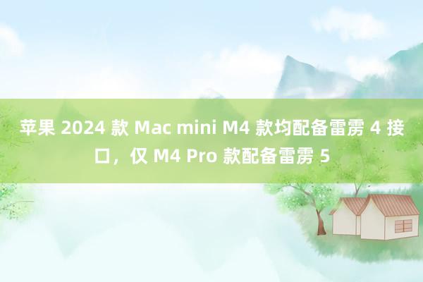 苹果 2024 款 Mac mini M4 款均配备雷雳 4 接口，仅 M4 Pro 款配备雷雳 5