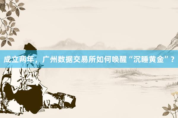 成立两年，广州数据交易所如何唤醒“沉睡黄金”？