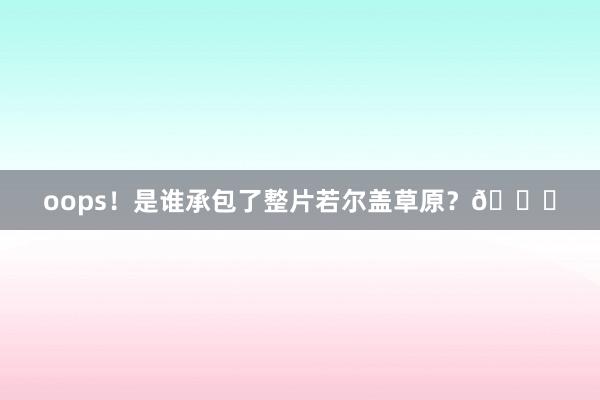 oops！是谁承包了整片若尔盖草原？🍂