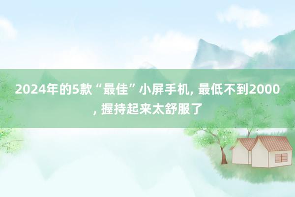 2024年的5款“最佳”小屏手机, 最低不到2000, 握持起来太舒服了