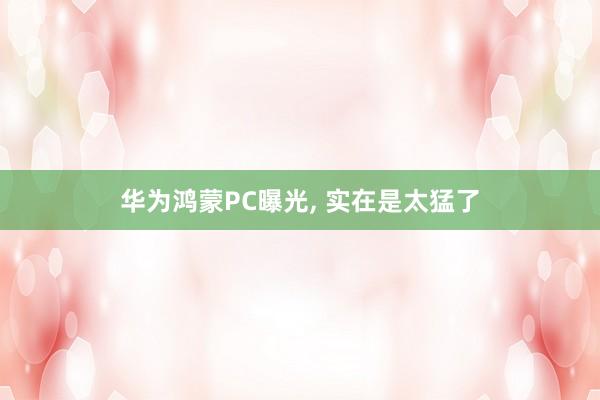 华为鸿蒙PC曝光, 实在是太猛了