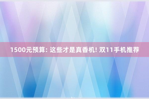 1500元预算: 这些才是真香机! 双11手机推荐