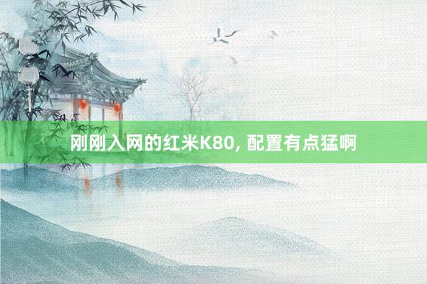 刚刚入网的红米K80, 配置有点猛啊