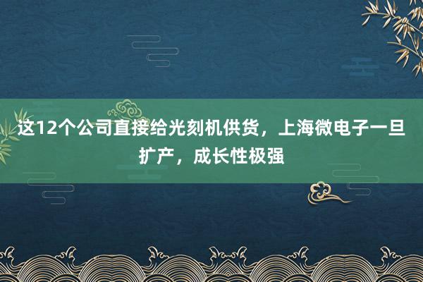 这12个公司直接给光刻机供货，上海微电子一旦扩产，成长性极强