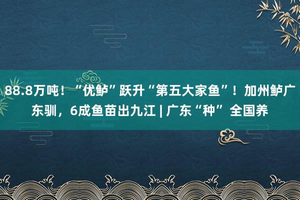 88.8万吨！“优鲈”跃升“第五大家鱼”！加州鲈广东驯，6成鱼苗出九江 | 广东“种” 全国养