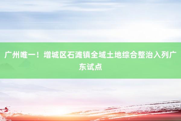 广州唯一！增城区石滩镇全域土地综合整治入列广东试点