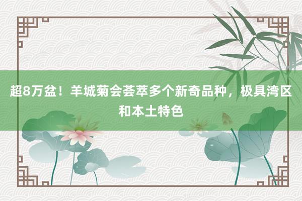 超8万盆！羊城菊会荟萃多个新奇品种，极具湾区和本土特色