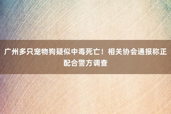 广州多只宠物狗疑似中毒死亡！相关协会通报称正配合警方调查