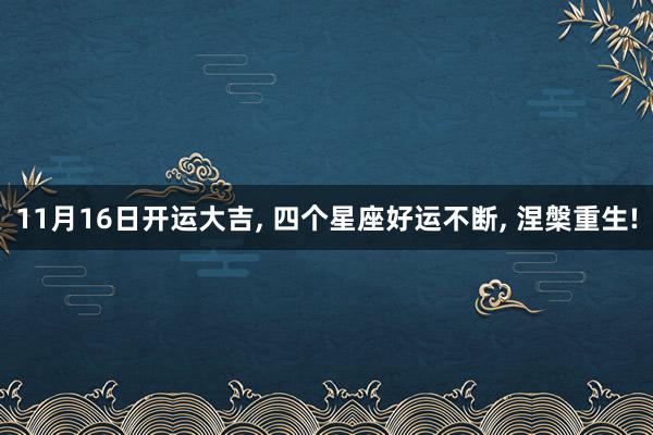 11月16日开运大吉, 四个星座好运不断, 涅槃重生!