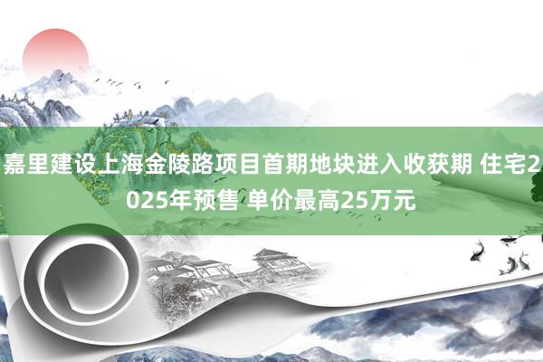 嘉里建设上海金陵路项目首期地块进入收获期 住宅2025年预售 单价最高25万元