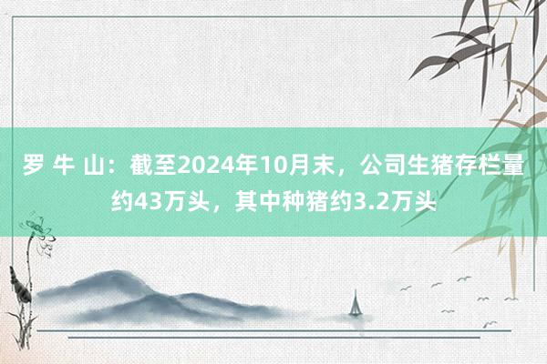 罗 牛 山：截至2024年10月末，公司生猪存栏量约43万头，其中种猪约3.2万头