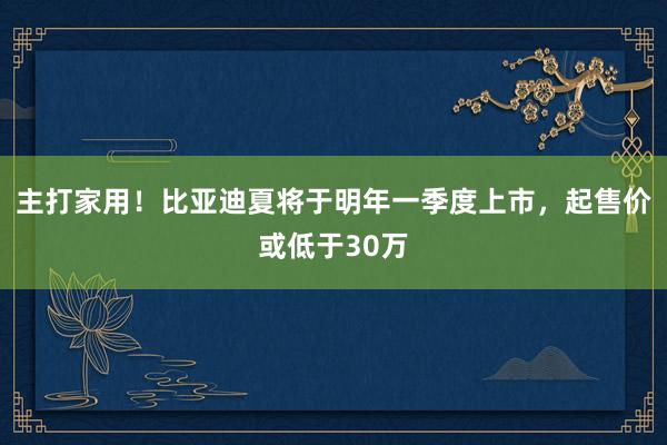 主打家用！比亚迪夏将于明年一季度上市，起售价或低于30万