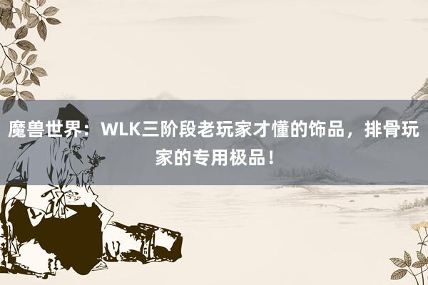 魔兽世界：WLK三阶段老玩家才懂的饰品，排骨玩家的专用极品！