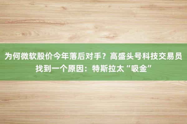 为何微软股价今年落后对手？高盛头号科技交易员找到一个原因：特斯拉太“吸金”