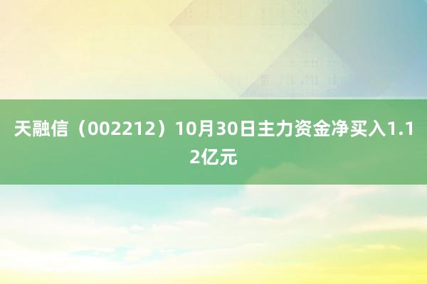 天融信（002212）10月30日主力资金净买入1.12亿元