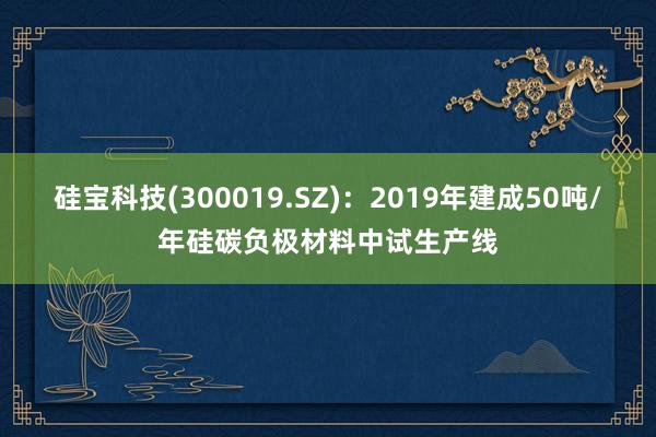 硅宝科技(300019.SZ)：2019年建成50吨/年硅碳负极材料中试生产线