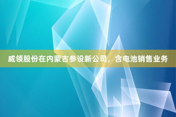 威领股份在内蒙古参设新公司，含电池销售业务