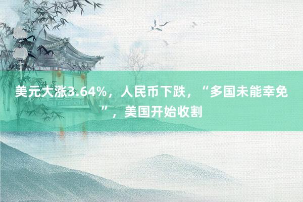 美元大涨3.64%，人民币下跌，“多国未能幸免”，美国开始收割