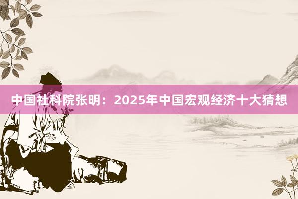 中国社科院张明：2025年中国宏观经济十大猜想