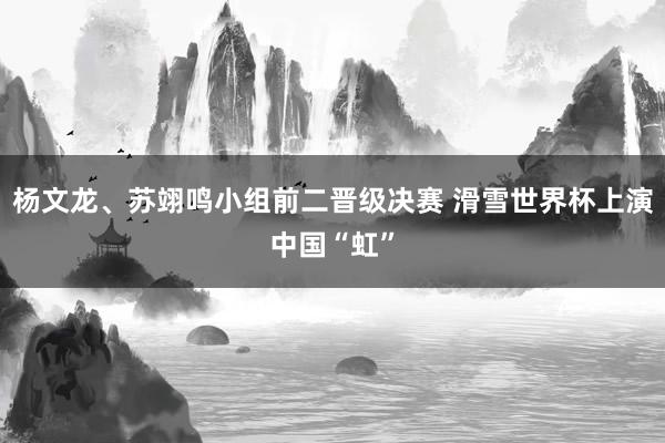 杨文龙、苏翊鸣小组前二晋级决赛 滑雪世界杯上演中国“虹”