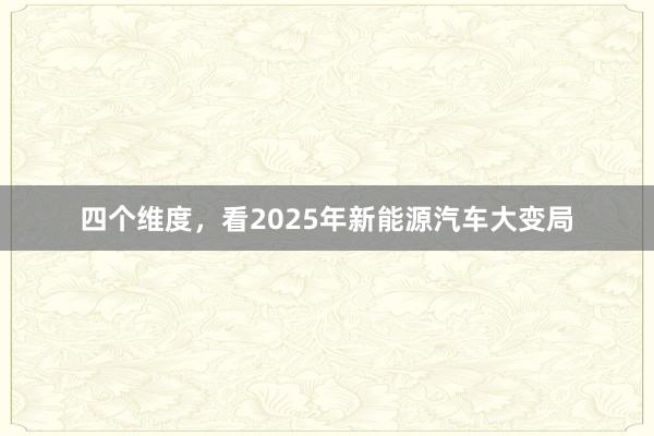 四个维度，看2025年新能源汽车大变局