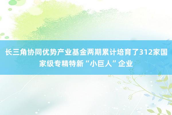 长三角协同优势产业基金两期累计培育了312家国家级专精特新“小巨人”企业