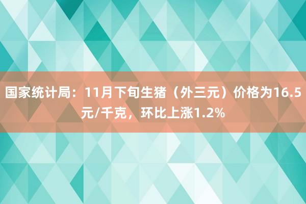 国家统计局：11月下旬生猪（外三元）价格为16.5元/千克，环比上涨1.2%