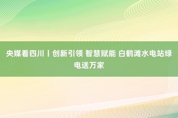 央媒看四川丨创新引领 智慧赋能 白鹤滩水电站绿电送万家