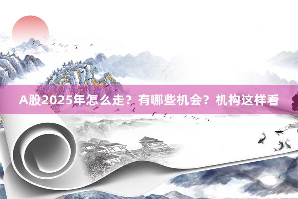 A股2025年怎么走？有哪些机会？机构这样看