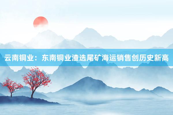 云南铜业：东南铜业渣选尾矿海运销售创历史新高