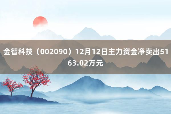 金智科技（002090）12月12日主力资金净卖出5163.02万元