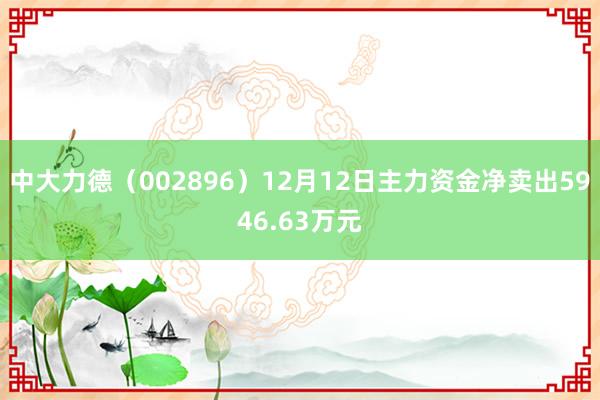 中大力德（002896）12月12日主力资金净卖出5946.63万元