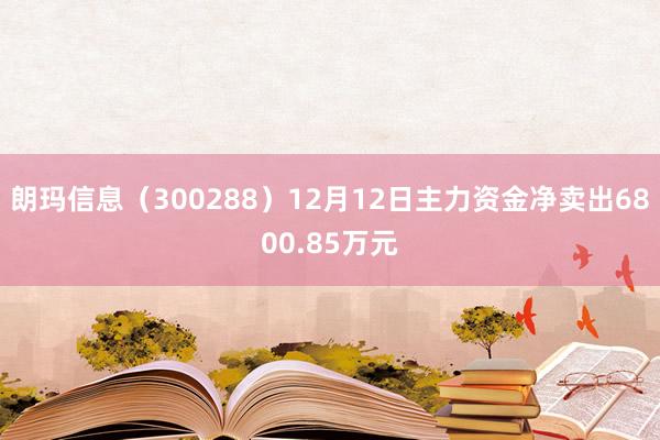 朗玛信息（300288）12月12日主力资金净卖出6800.85万元