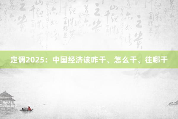 定调2025：中国经济该咋干、怎么干、往哪干