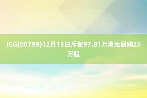 IGG(00799)12月13日斥资97.81万港元回购25万股