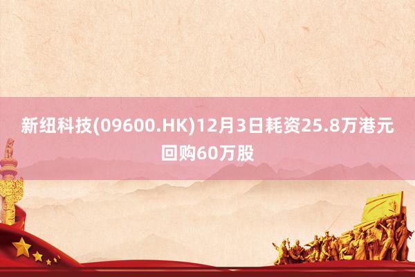 新纽科技(09600.HK)12月3日耗资25.8万港元回购60万股