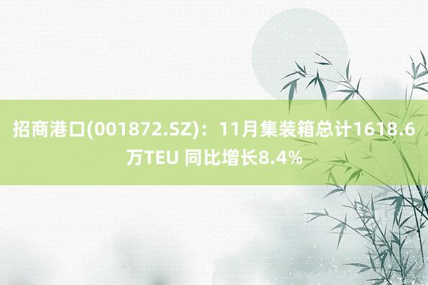 招商港口(001872.SZ)：11月集装箱总计1618.6万TEU 同比增长8.4%