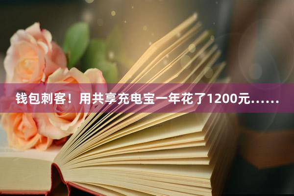 钱包刺客！用共享充电宝一年花了1200元……